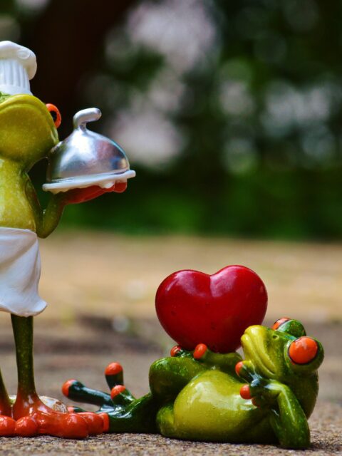 afbeelding voor valentijnsactiviteit wandelen en hightea met twee kikkertjes, een verkleed als kok, de ander met een hartje